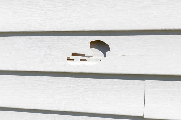 Custom Trim and Detailing for Siding in Preston Heights, IL